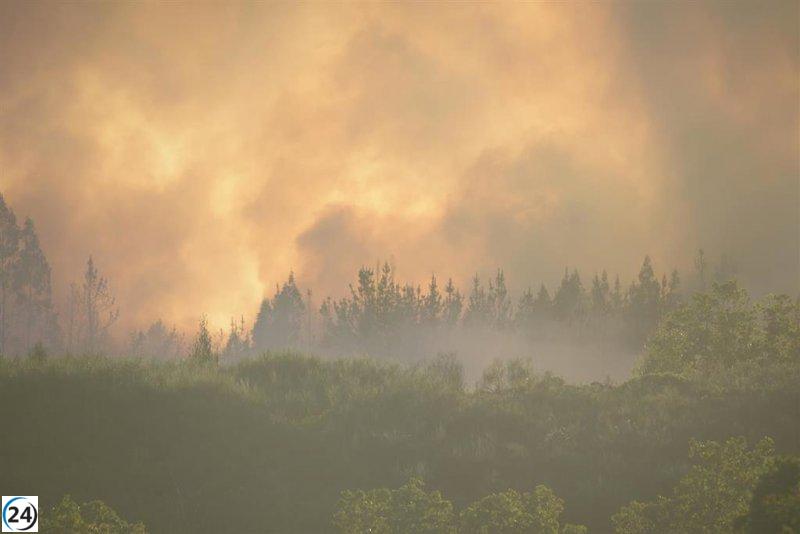 Ecoactivistas aplauden directiva europea sobre delitos ambientales, pero exigen más recursos para la justicia.