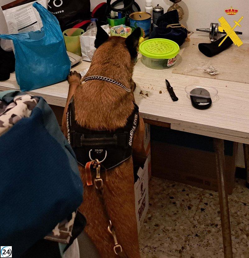 Desmantelada banda criminal de tráfico de drogas en Lugo: 11 arrestados