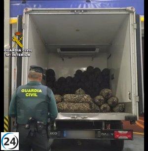 Incautado camión portugués con carga ilegal de almejas japónicas en O Grove, Pontevedra.
