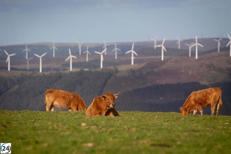 El desarrollo de energía renovable en Galicia podría ahorrar a la industria hasta un 27%