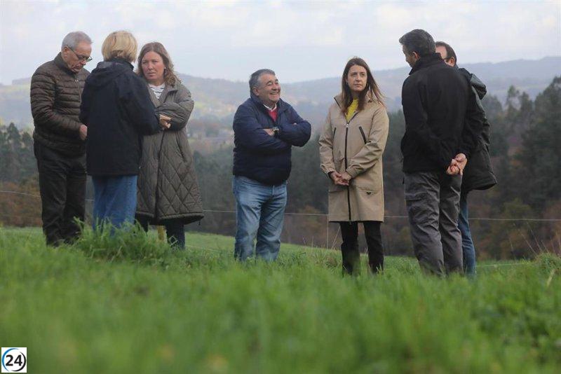 La Xunta lanzará en 2025 incentivos para nuevos agricultores y ganaderos ecológicos.