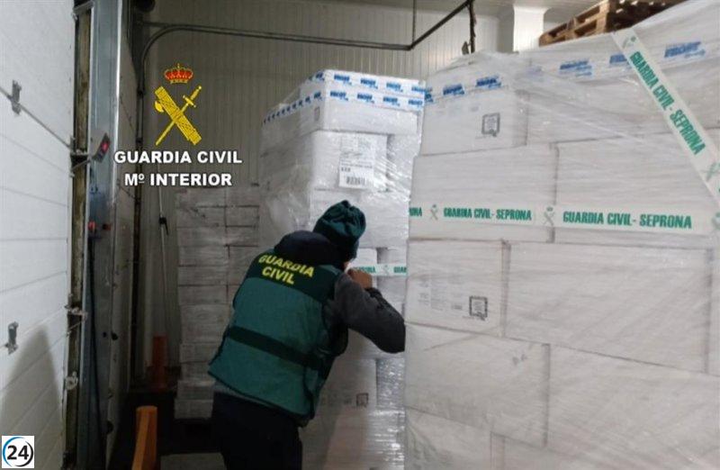 Desmantelan red de contrabando en Pontevedra: 270 toneladas de mariscos congelados confiscadas y 13 detenidos.