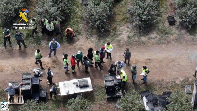 Investigados por contratar trabajadores irregulares en una finca de Lugo.
