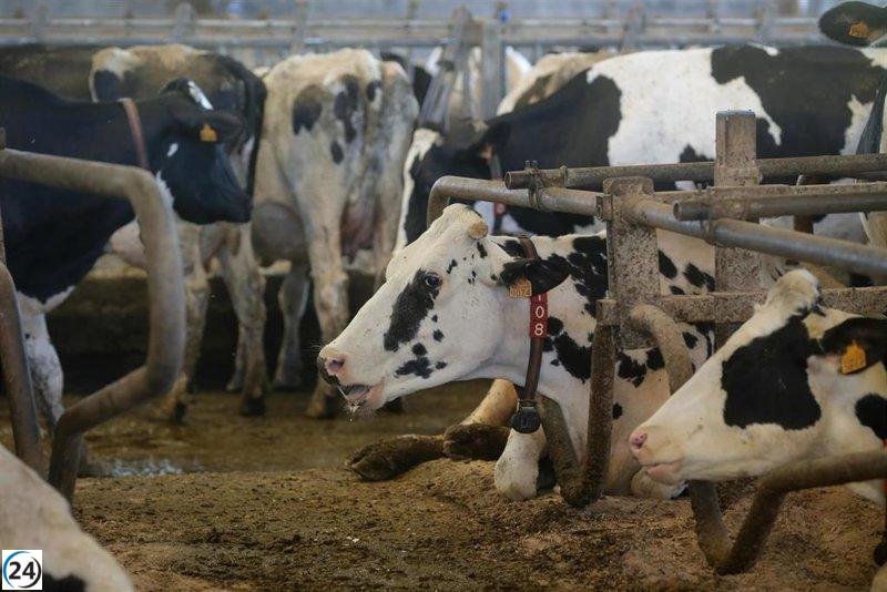 Aumento moderado en el precio de la leche en marzo en Galicia, pero sigue rezagada frente a otras regiones.