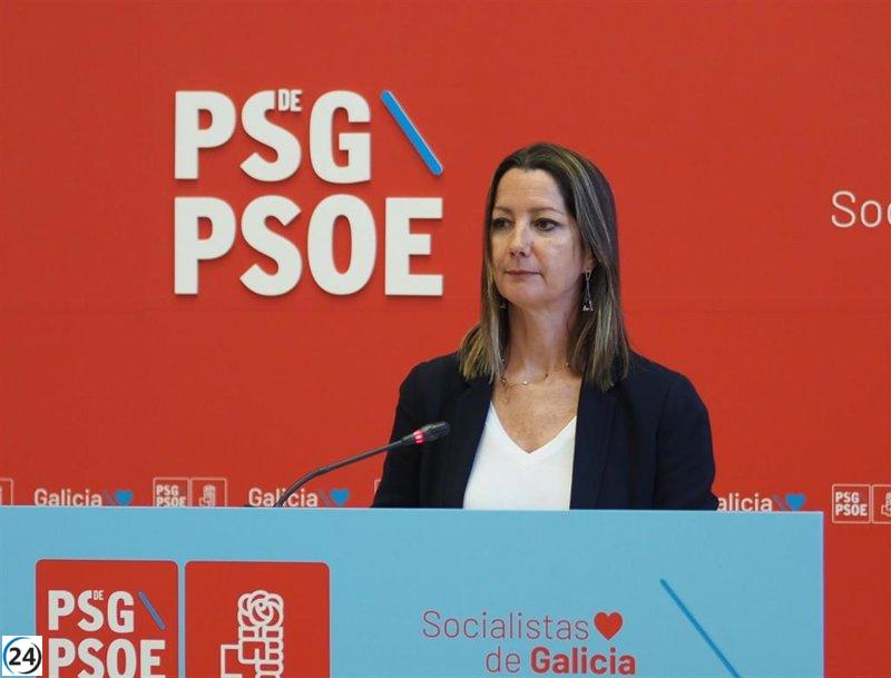 PSdeG critica a Feijóo por ignorar al gallego para debilitar al Gobierno central.