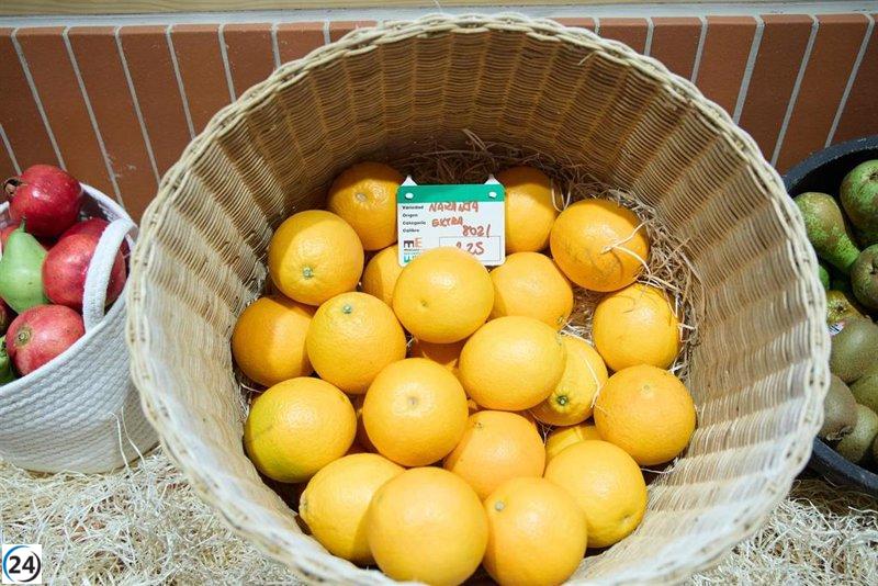 Ventas del comercio minorista en Galicia suben un 5,3% en mayo.
