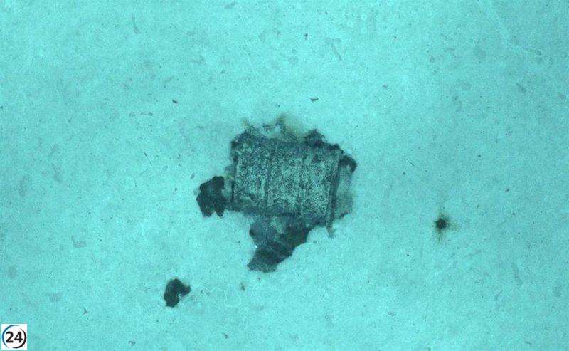 Francia descubre 3.350 barriles de desechos radiactivos en el océano Atlántico.