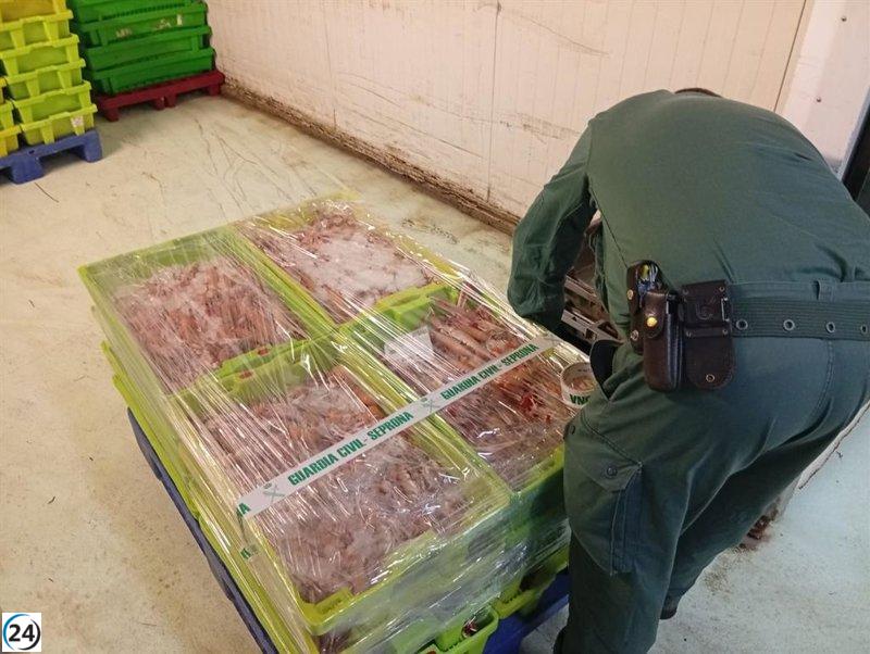 Detenida furgoneta con 280 kilos de cigalas ilegales en ruta a A Coruña desde Cantabria.