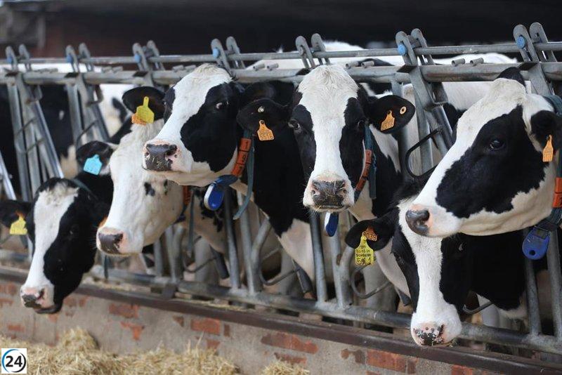 Agricultores de Galicia denuncian recortes de 77 millones anuales en la PAC y rechazan su eliminación.