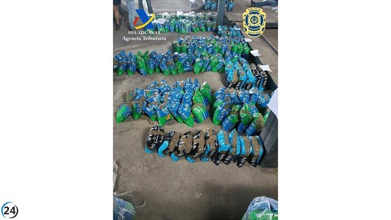 Capturan en Portugal a dos por contrabando de 400 kilos de cocaína ocultos en arena para gatos en el puerto de Vigo.