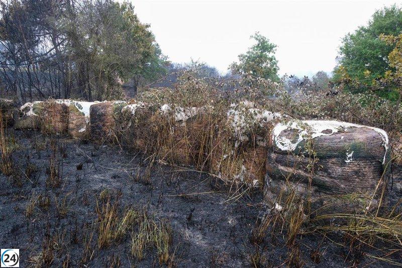 Controlado el fuego en Lalín tras arrasar 83 hectáreas.