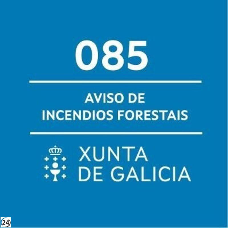 Incendio forestal en Cualedro (Ourense) consume más de 20 hectáreas.