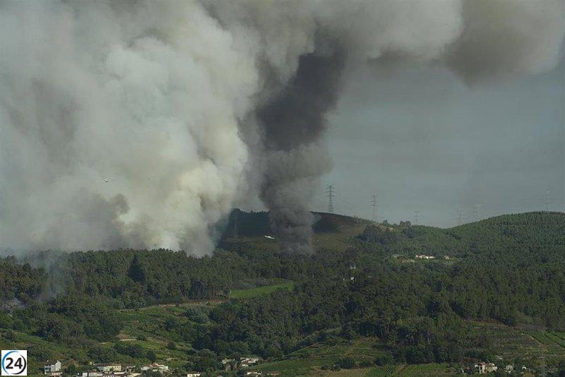Incendio en Cualedro (Ourense) sofocado tras devastar 90 hectáreas.