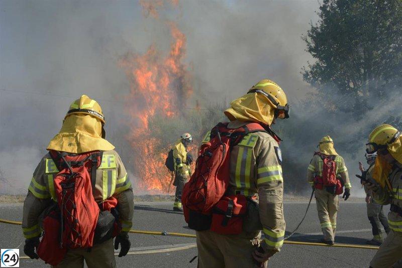 Capturan a sospechoso de incendios en Ourense tras ser descubierto en pleno acto.