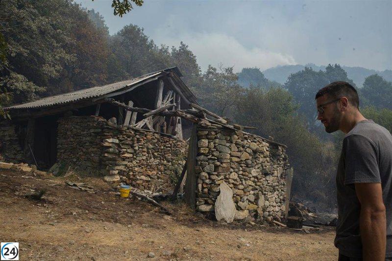 Incendios estivales en Galicia devastan más de 4.000 hectáreas, superando la cifra total de 2024.