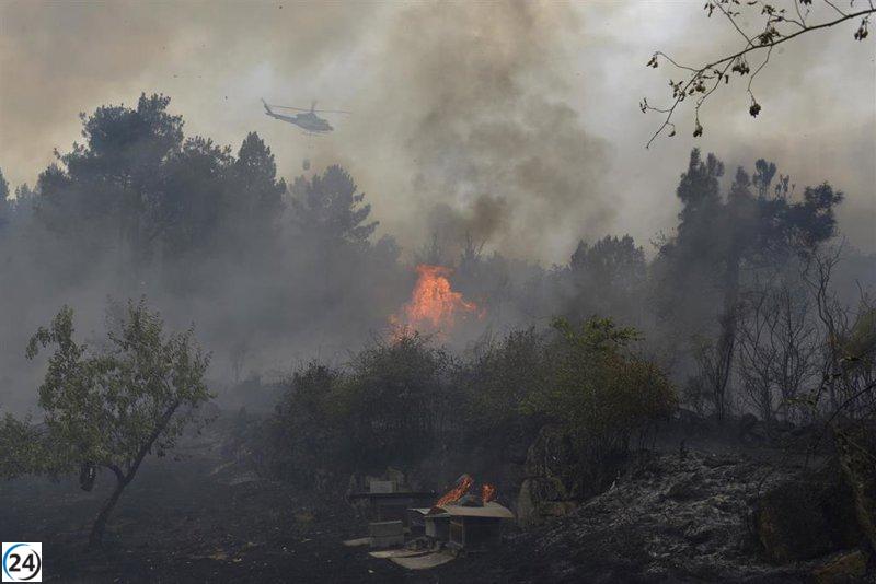 Incendios en Galicia causan la devastación de 8.000 hectáreas.