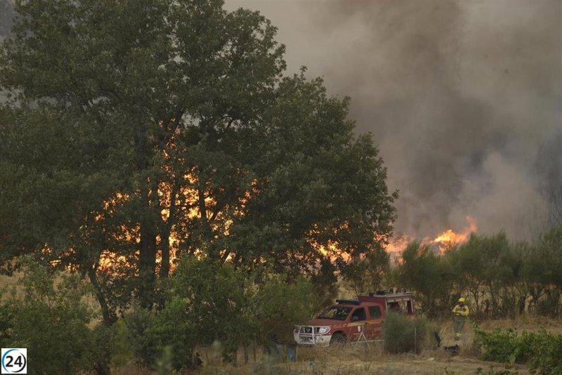 Heroína en Cenza (Ourense): Salvan a un hombre atrapado por el fuego en labores de cortafuego.