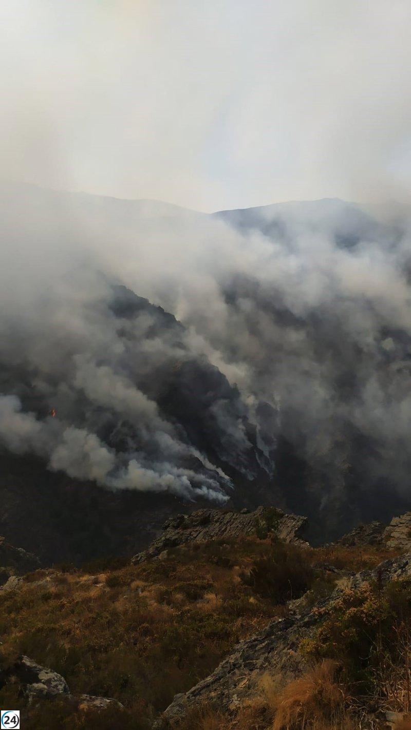 Casaio enfrenta continua amenaza de incendios, con largas jornadas de angustia para los residentes y pérdidas en su biodiversidad.