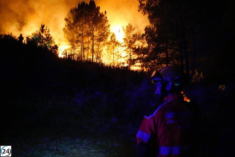 Gobierno declara 'zona catastrófica' por incendios en todas las CC.AA. menos en el País Vasco.
