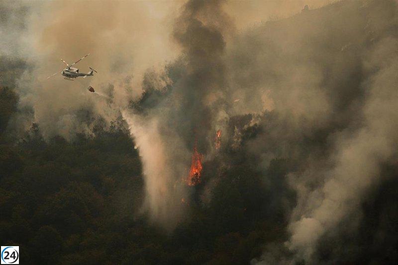 Incendios en Carballeda de Valdeorras, Vilardevós y Carballeda de Avia sofocados.