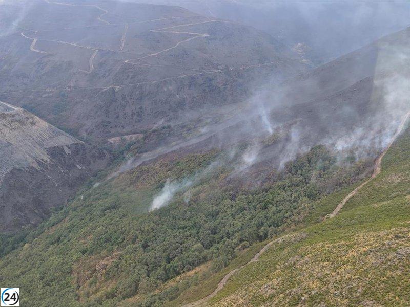 Incendio en Carballeda arrasa 700 hectáreas y se dirige hacia área más manejable, podría ser intencionado.