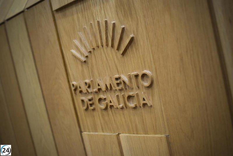 El PP presenta una alternativa en el pleno sin reconocer el