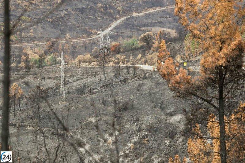 Restablecen servicio ferroviario entre Lugo y Ourense tras extinguirse el incendio.