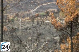 Restablecen servicio ferroviario entre Lugo y Ourense tras extinguirse el incendio.