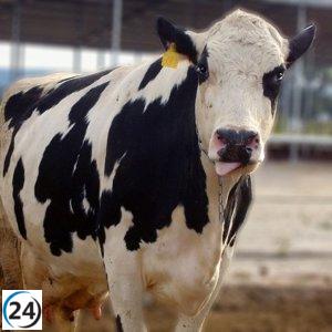 EE.UU. destaca la relevancia de las reformas de la PAC, mientras SLG las califica de soluciones temporales.