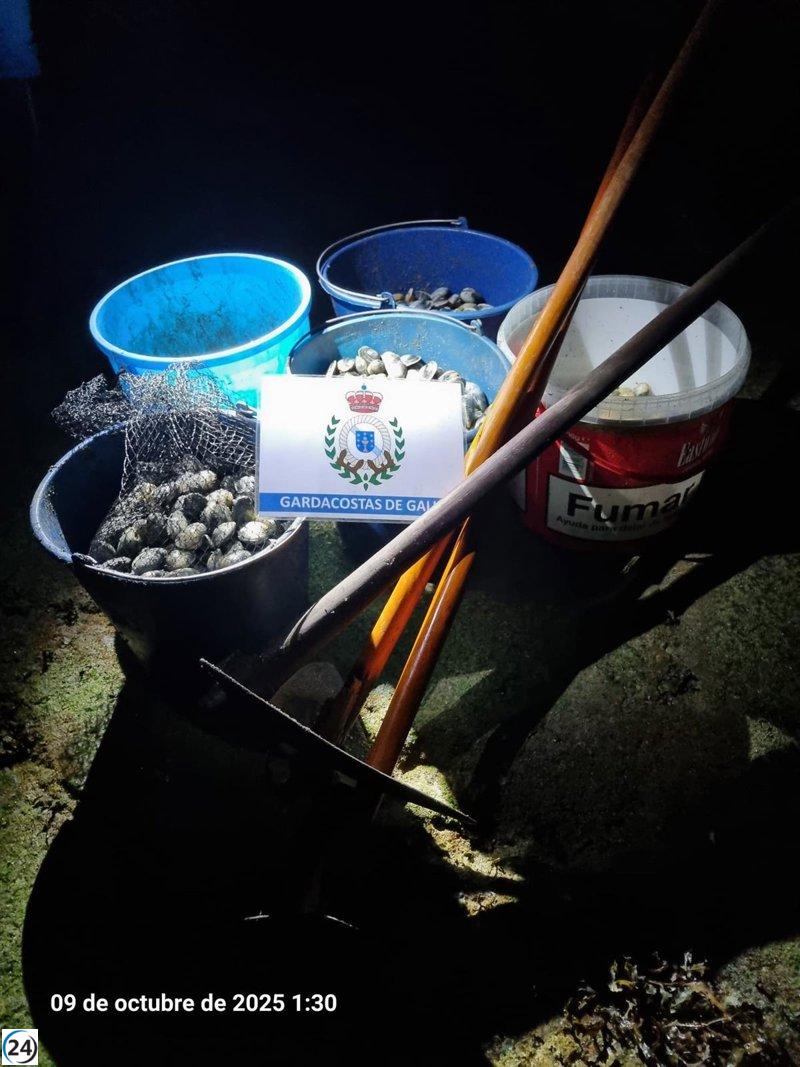 Incautan más de 30 kilos de almeja babosa en Ferrol en lucha contra la pesca ilegal.