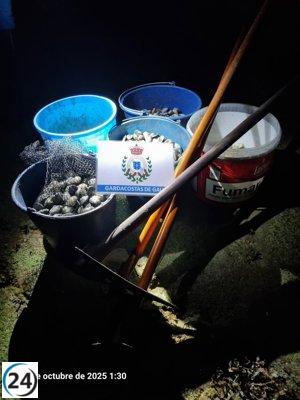Incautan más de 30 kilos de almeja babosa en Ferrol en lucha contra la pesca ilegal.