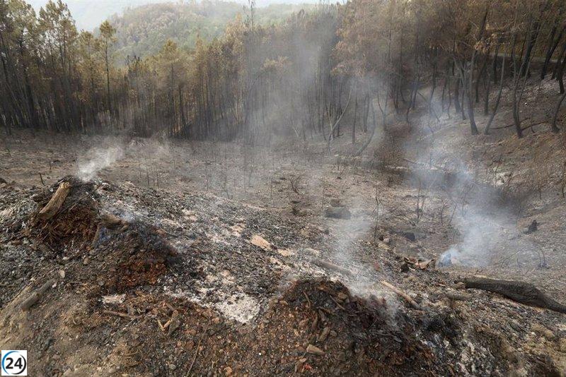 Incendio en Pantón provoca cierre temporal de tren entre Ourense y Monforte.