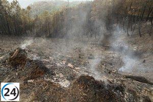 Incendio en Pantón provoca cierre temporal de tren entre Ourense y Monforte.