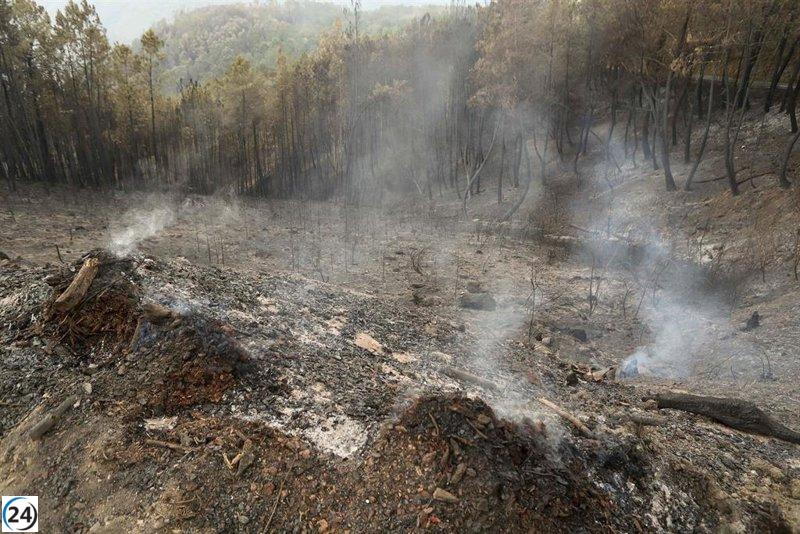 Apagan incendio en Pantón que paralizó el servicio de tren entre Monforte y Ourense.