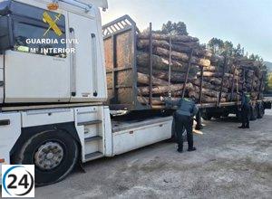 Capturan a dos hombres tras robar un camión con madera en Ponteareas.