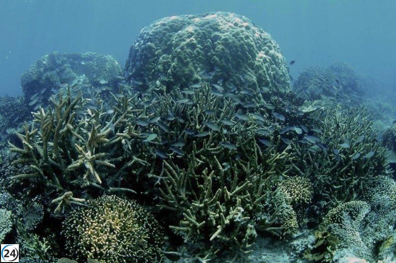 El mundo cruza el umbral irreversible, alerta un estudio global con la USC.