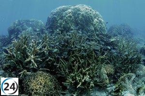 El mundo cruza el umbral irreversible, alerta un estudio global con la USC.