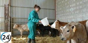 Mujeres del campo gallego exigen acciones en Europa para cerrar la brecha salarial y enfrentar sus desafíos.