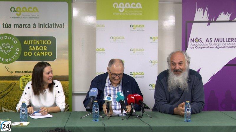 Productores locales temen que nuevas regulaciones busquen llevarlos a la ilegalidad.