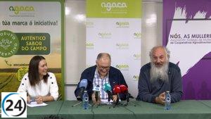 Productores locales temen que nuevas regulaciones busquen llevarlos a la ilegalidad.