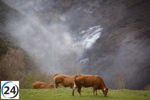 Ley de incendios prometida en 2021 busca activar territorio para prevenir.