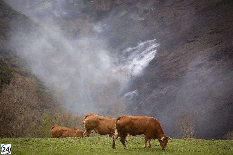 Se inicia la tramitación de la ley de incendios que apuesta por la prevención activa del territorio.