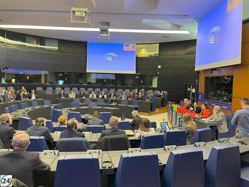 La Ley Audiovisual no garantiza la pluralidad lingüística dice A Mesa y productores ante el Parlamento europeo