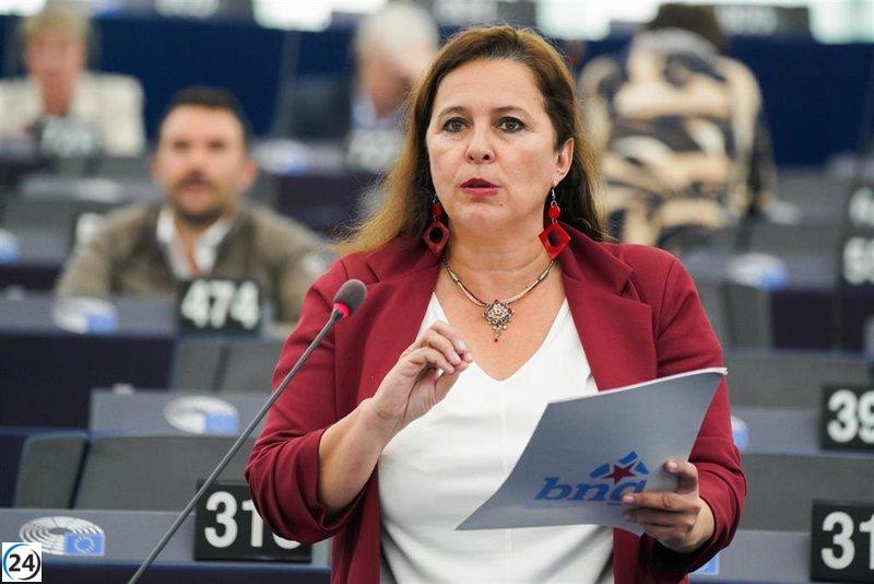 Miranda (BNG) respalda en el Parlamento Europeo la regulación de viviendas turísticas y políticas de vivienda asequibles