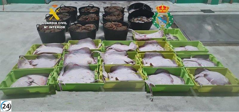 Decenas de kilos de pescado y marisco incautados en exitosa operación contra el furtivismo en A Coruña