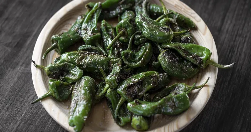 El pimiento de padrón, el picante misterioso