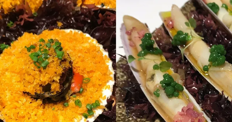 El arte culinario gallego, una forma de creatividad